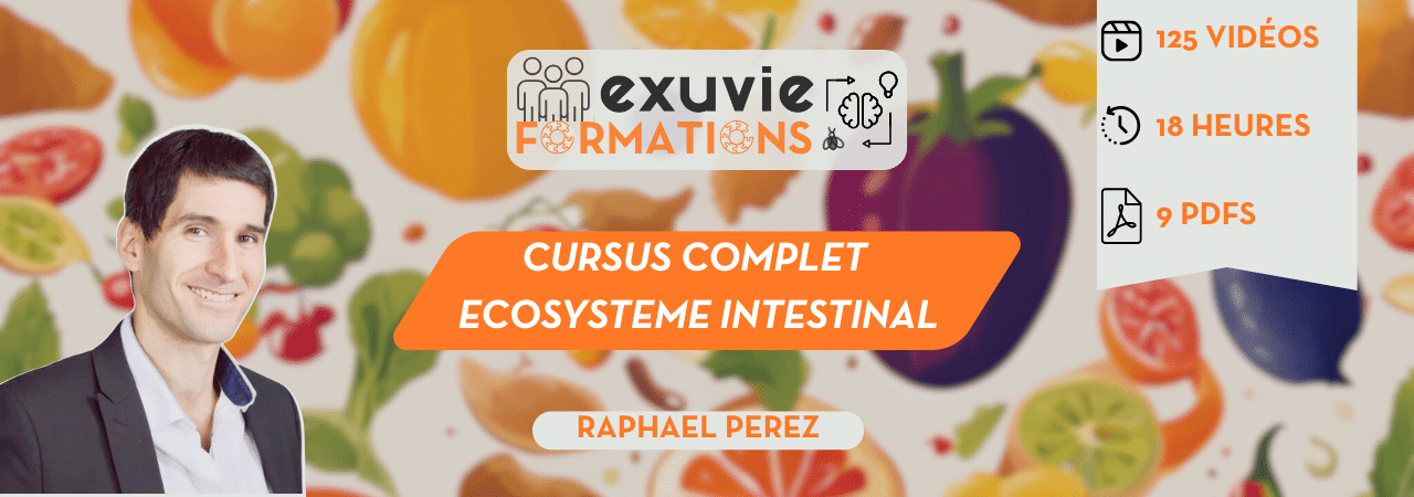 Cursus complet ecosysteme intestinal