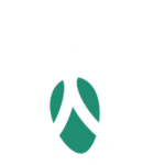 Avatar de l’utilisateur/utilisatrice